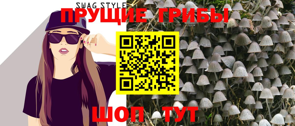 Кумертау  Галлюциногенные грибы Psilocybe  Вход с VPN 